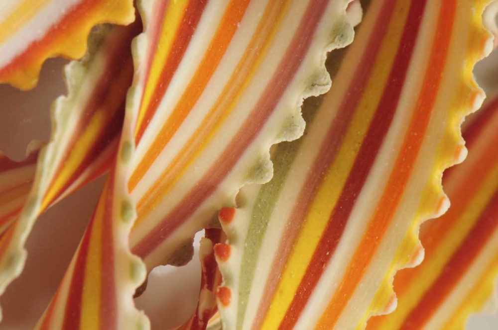 USA Close-up of dried rainbow pasta noodles